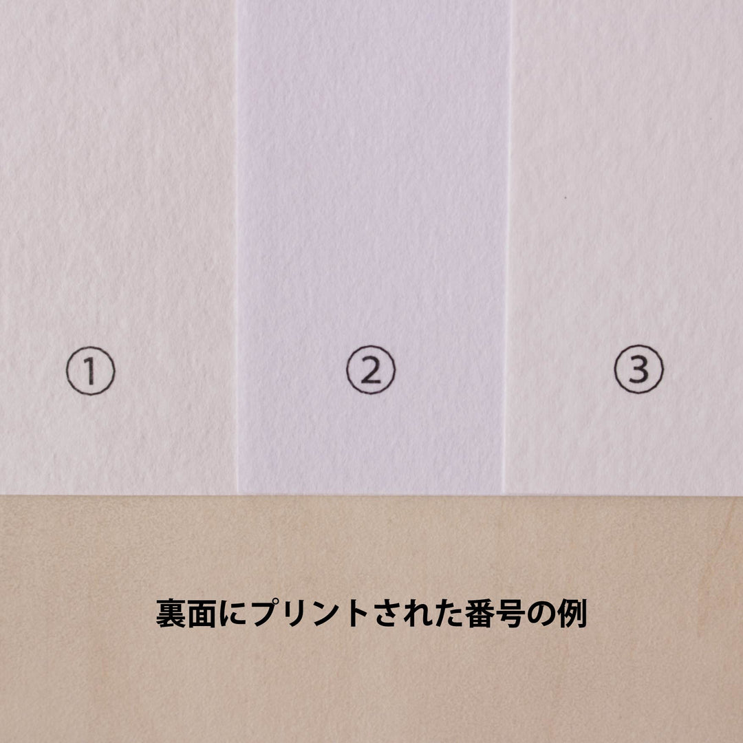 A4和紙アソートセット