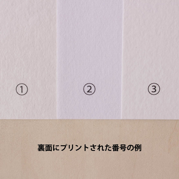 A4和紙アソートセット